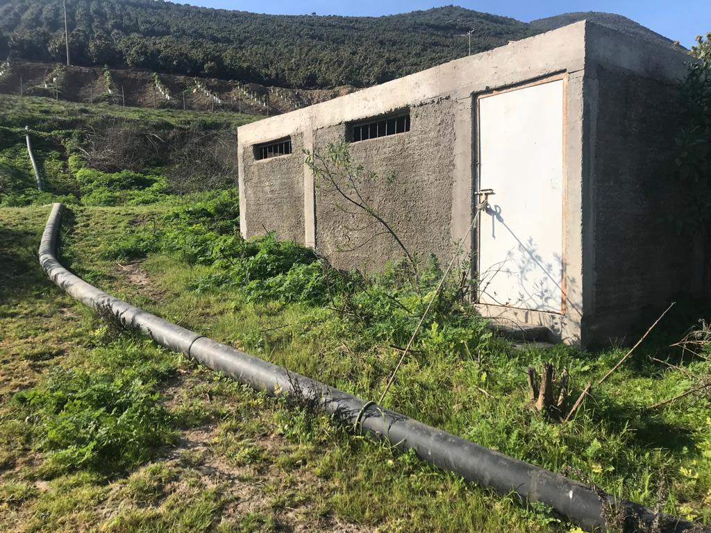 Vecinos apuntan a las plantaciones de paltos, además de la venta de agua